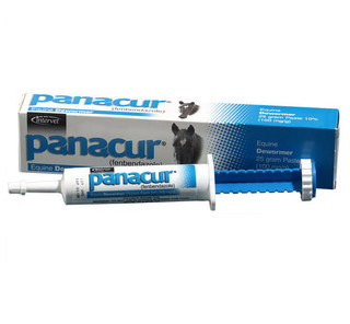 Panacur Pâte Équine 25g - Vermifuge Pour Chevaux - Neuf Sous Blister