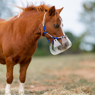 ThinLine Flexible Filly Slow Feed Grazing Muzzle | 2+ Cm Restricted Opening | Opaque Plastic Design