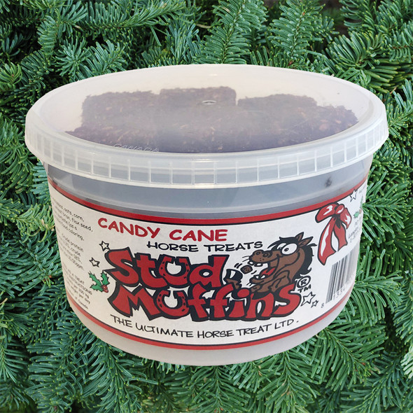 Stud Muffins 20 Oz Tub of Horse Treats, Candy Cane Flavor Stud Muffins 20 Oz Tub of Horse Treats, Candy Cane Flavor