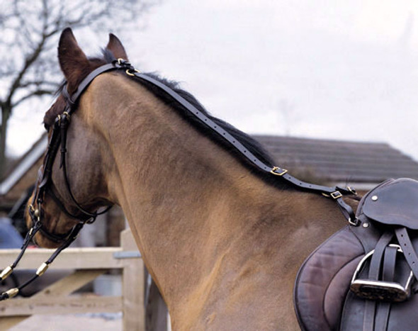 Shires Leather Anti-Grazing Daisy Rein, Black & Brown