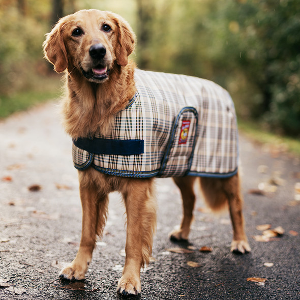 Baker Dog Blanket. Baker Dog Blanket.