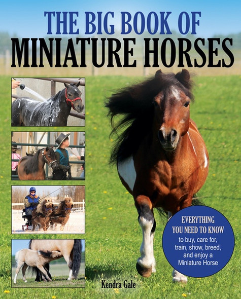 The Big Book of Miniature Horses