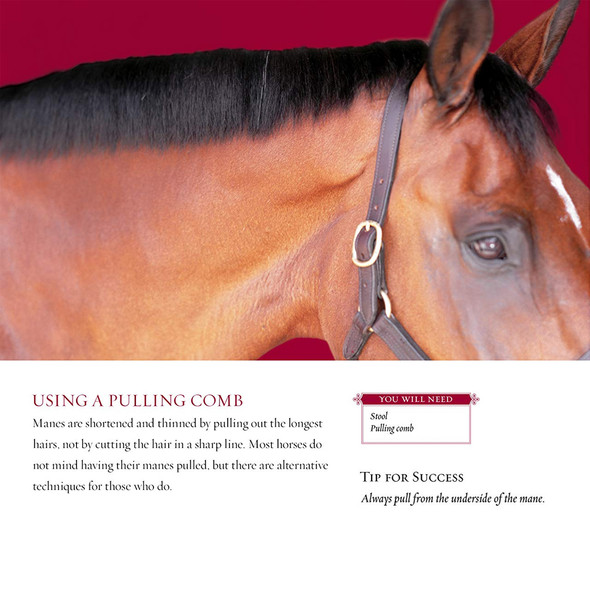 Braiding Manes & Tails, A Visual Guide to 30 Basic Braids Braiding Manes & Tails, A Visual Guide to 30 Basic Braids