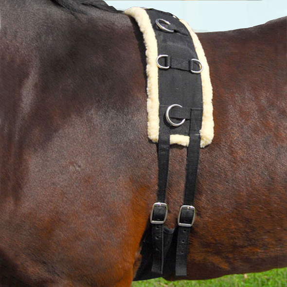 Fleece-Lined, Nylon Pony Training Surcingle