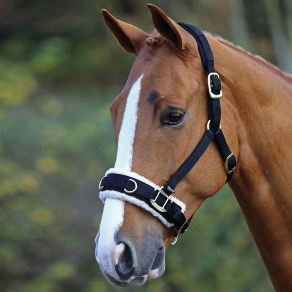 Shires Fleece Lined Nylon Lunging Caveson, Black, Pony & Cob