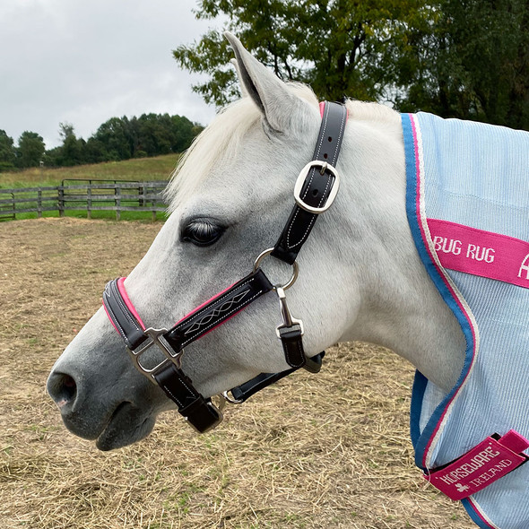 Belle & Bow Pink Padded, Fancy Stitched Halter , 3 Sizes