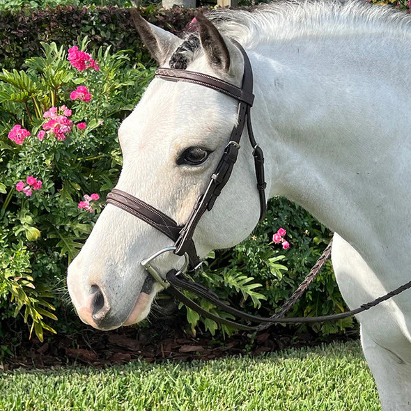 wide noseband pony hunter bridle. wide noseband pony hunter bridle.