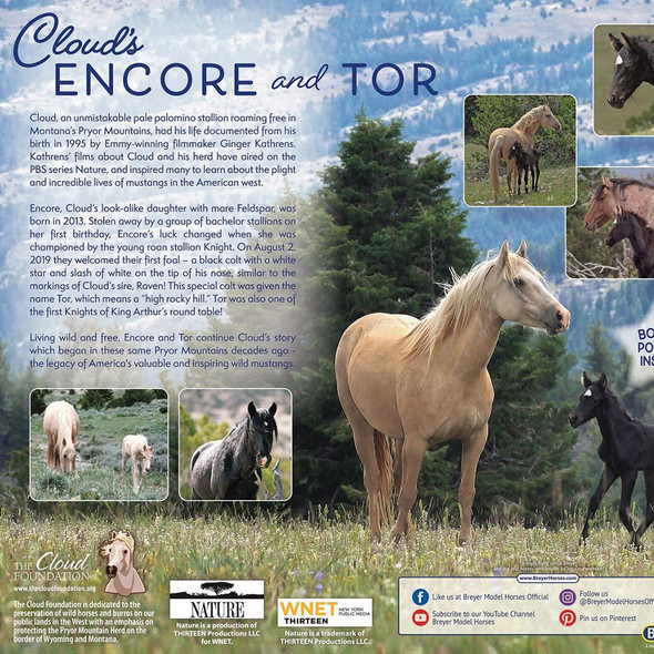 Breyer Encore & Tor Gift Set, With Poster