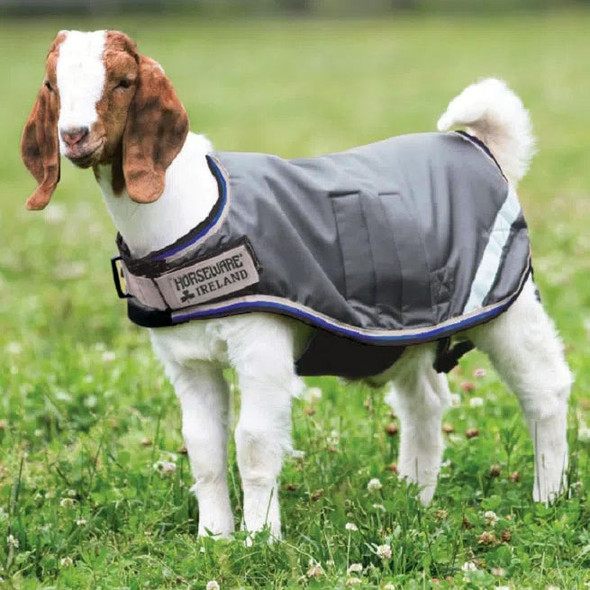 Horseware Goat Coat, Excalibur/Silver/Bright Blue/Black, XS - XXXL Horseware Goat Coat, Excalibur/Silver/Bright Blue/Black, XS - XXXL