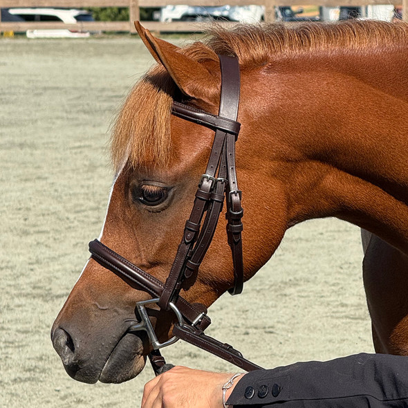 Side view of elegant, small pony or yearling bridle.
