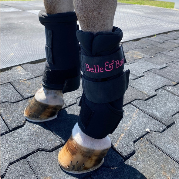 Belle & Bow Fast Wraps for ponies. Belle & Bow Fast Wraps for ponies.