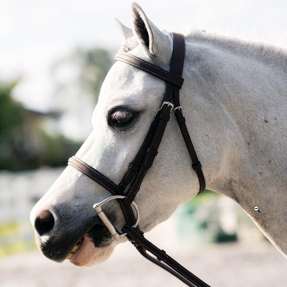 Belle & Bow Farnley Fancy Stitched Bridle & Reins, 3 Sizes