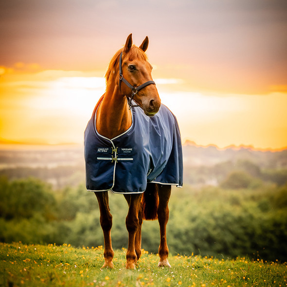 Amigo Ripstop 900D Pony Turnout, 50g, Black/Classic Blue & Witney Navy, 45" - 69" Amigo Ripstop 900D Pony Turnout, 50g, Black/Classic Blue & Witney Navy, 45" - 69"