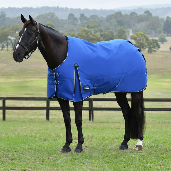 Weatherbeeta Comfitec Essential Medium, Cobalt/Black, 48" - 69". Weatherbeeta Comfitec Essential Medium, Cobalt/Black, 48" - 69".