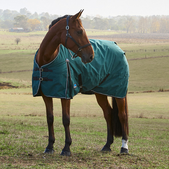 Weatherbeeta Comfitec Classic Turnout, 220g, Forest Green/ Black, 60" - 69". Weatherbeeta Comfitec Classic Turnout, 220g, Forest Green/ Black, 60" - 69".