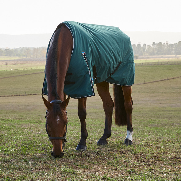 Weatherbeeta Comfitec Classic Turnout, 220g, Forest Green/ Black, 60" - 69". Weatherbeeta Comfitec Classic Turnout, 220g, Forest Green/ Black, 60" - 69".