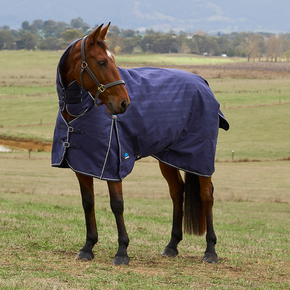 Weatherbeeta Comfitec Prelim Combo Turnout Sheet, Navy Embossed Plaid. Weatherbeeta Comfitec Prelim Combo Turnout Sheet, Navy Embossed Plaid.