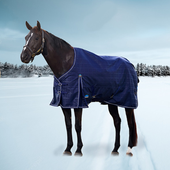 Weatherbeeta Comfitec Prelim Std Neck Turnout, 360g, Navy Embossed Plaid, 48" - 69" Weatherbeeta Comfitec Prelim Std Neck Turnout, 360g, Navy Embossed Plaid, 48" - 69"
