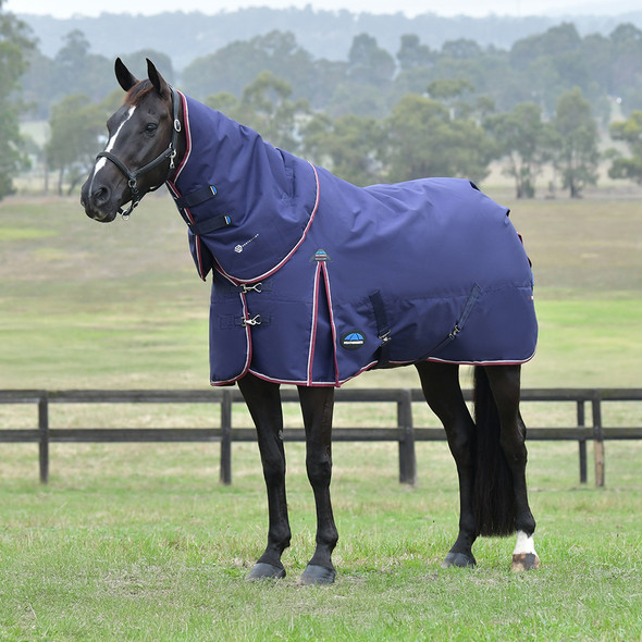 Weatherbeeta Comfitec Essential Detach-A-Neck Turnout, 220g, Navy/Burugndy, 60" - 69".