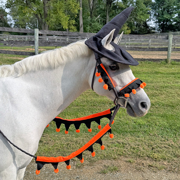 Halloween Bridle and Rein set. Halloween Bridle and Rein set.