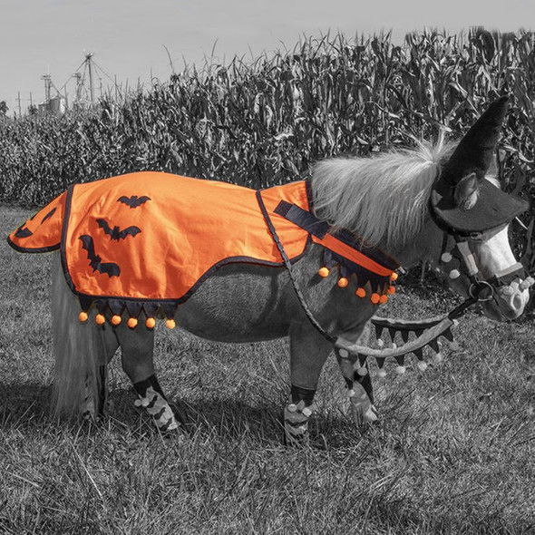 Halloween MINIATURE horse Quater Sheet. Halloween MINIATURE horse Quater Sheet.