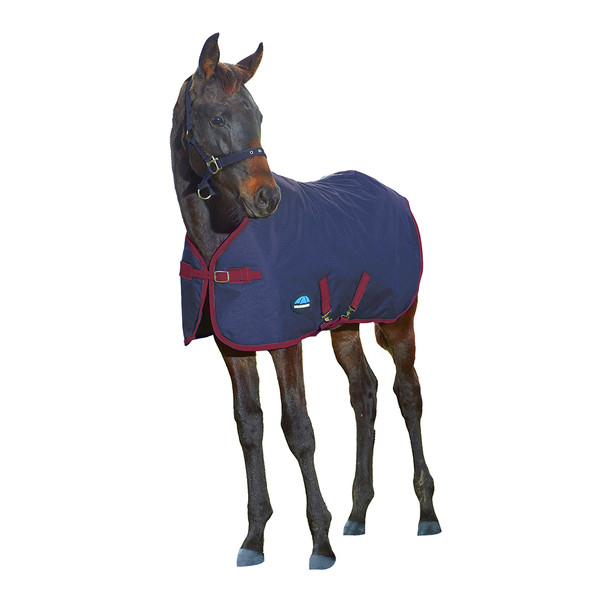 Weatherbeeta 1200D Foal Std Neck, 220g, Navy/Burgundy, 42"-57".