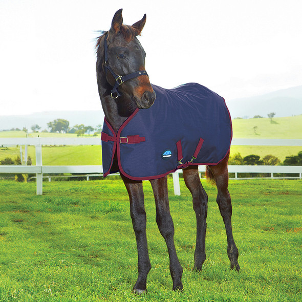 Weatherbeeta 1200D Foal Std Neck, 220g, Navy/Burgundy, 42"-57".