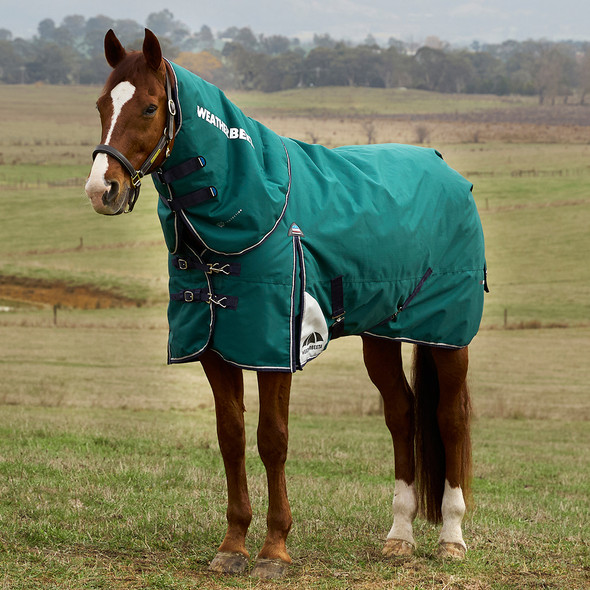Weatherbeeta Comfitec + Dynamic Detach-A-Neck 220g Turnout, 66"-69"