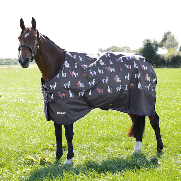 Shires Miniature Highlander 200, Turnout Blanket, Alpaca, 33" - 48". Shires Miniature Highlander 200, Turnout Blanket, Alpaca, 33" - 48".