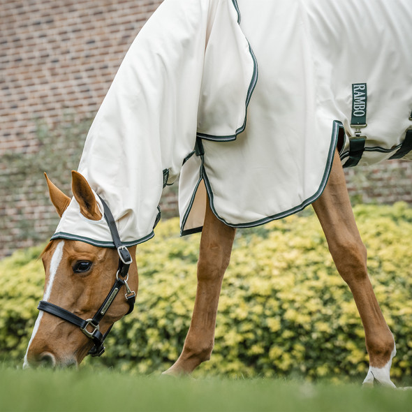 Rambo Pony Hoody, Chalk/ Hunter Green & Silver, 45-69".