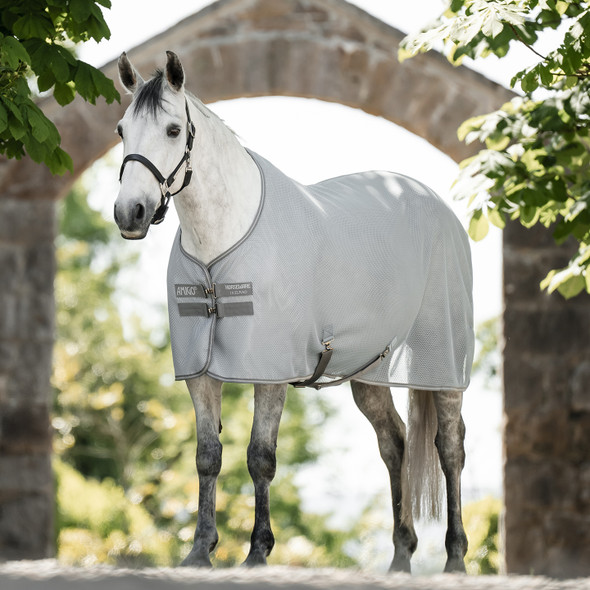  Amigo AirNet Cooler, Heather Blue/Titanium Grey & Silver.
