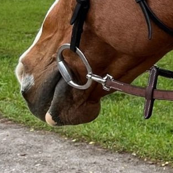 DziaSport Easy Clip-On Rubber Reins.