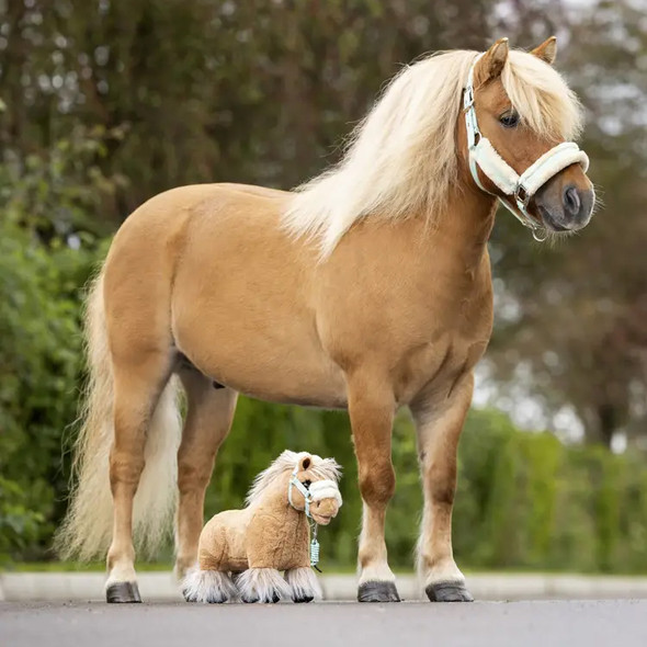 LeMieux Toy Pony, Cloudy