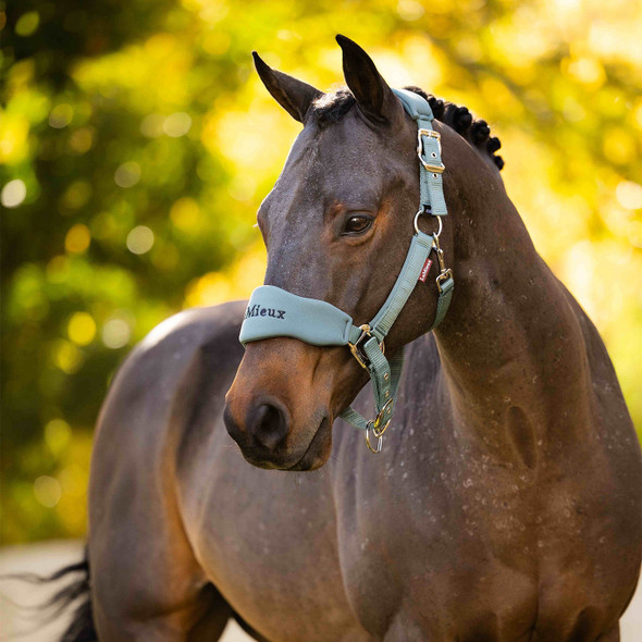  LeMieux BREAKAWAY Vogue Halter & Leadrope 