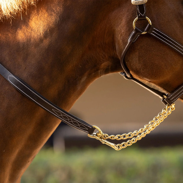 Huntley Equestrian Leather Lead with Brass Chain

