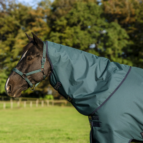 Amigo Ripstop 900D Pony PLUS Turnout, 200g, Dynasty Green/Navy & Silver, 48"-69"