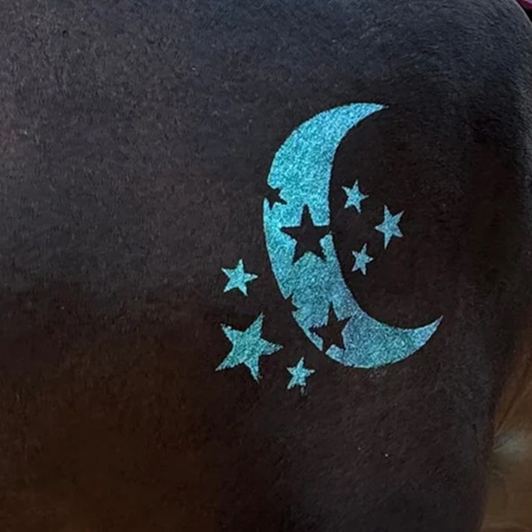 Moon and Many Stars.
