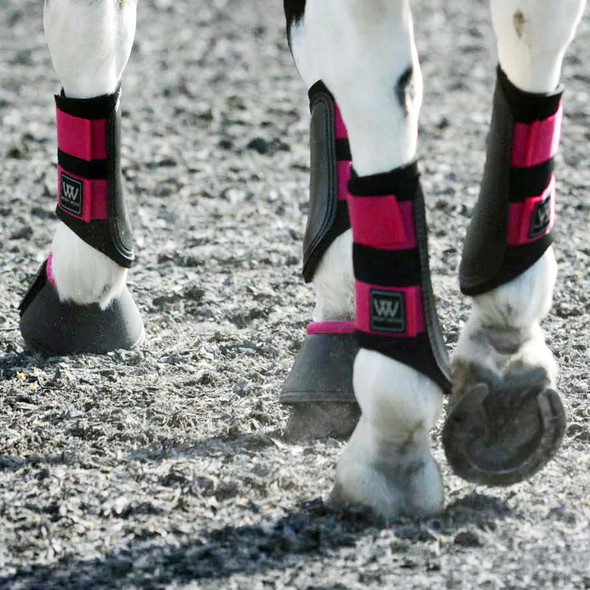 Berry Woof Wear Sport Brushing Boots for ponies.