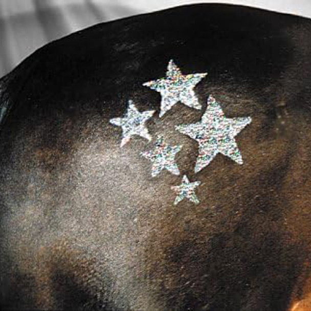 Stars on horse applied using Twinkle Stencil Kit