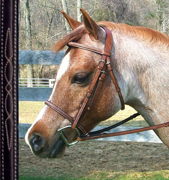 Bobby's Fancy Stitched, Raised Bridle with Fancy Reins