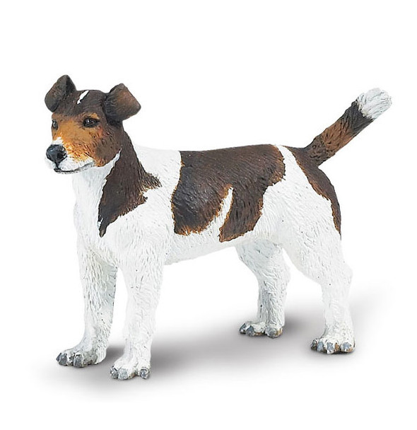 Safari Best in Show Jack Russell Terrier