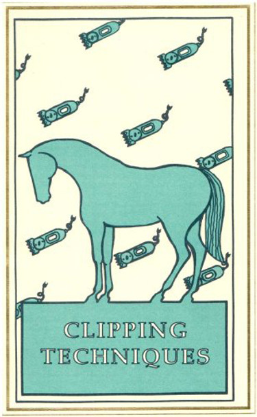 Clipping Techniques (DVD)