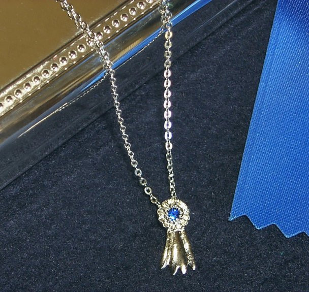 Blue Ribbon Silver Necklace
