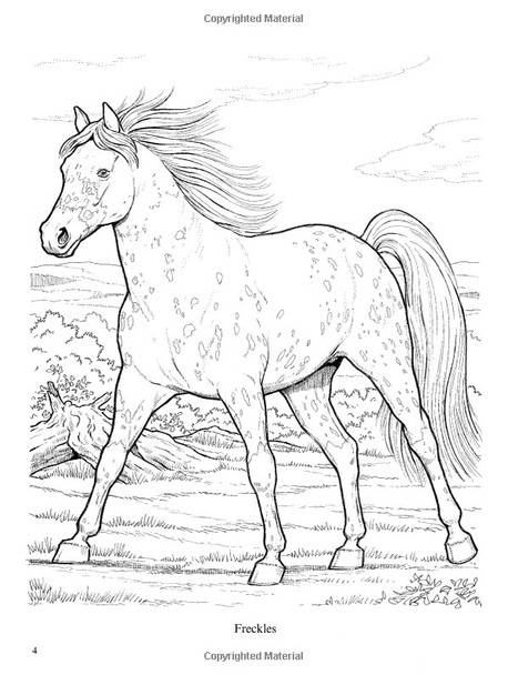 Wonderful World of Horses Coloring Book