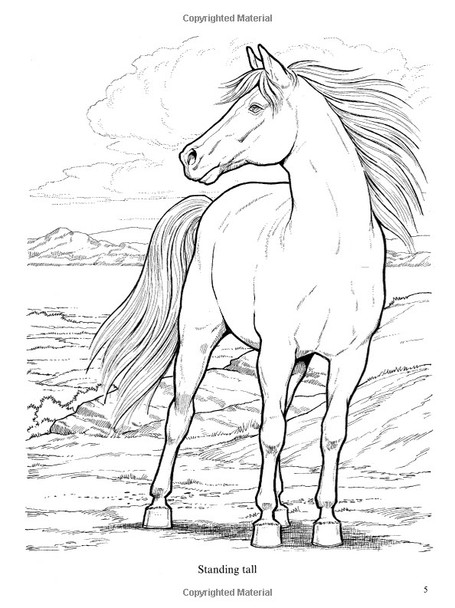 Wonderful World of Horses Coloring Book