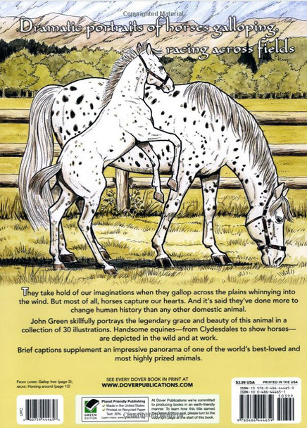 Wonderful World of Horses Coloring Book