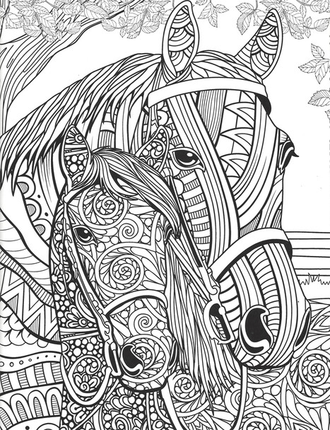 Horses Are Works of Art - Coloring Book for All Ages