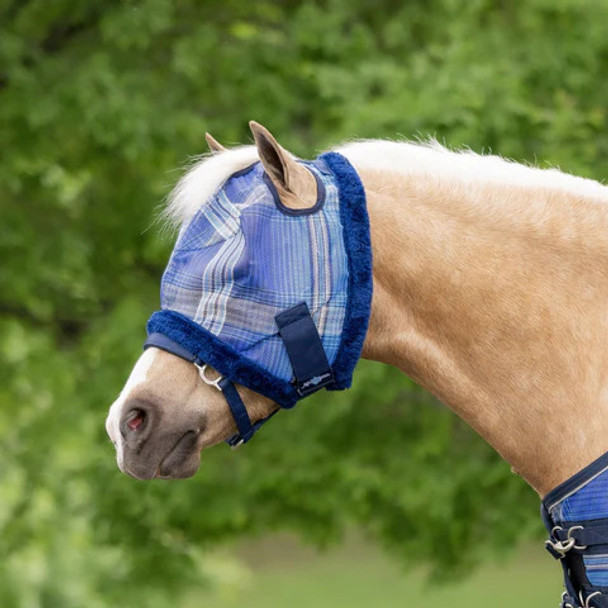 Kentucky Blue Plaid