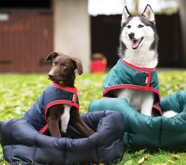 Rambo Waterproof Dog Blanket with Removable Liner, Navy/Red & Green/Red