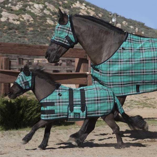 Kensington Mini Protective Fly Sheet, Black Ice Plaid